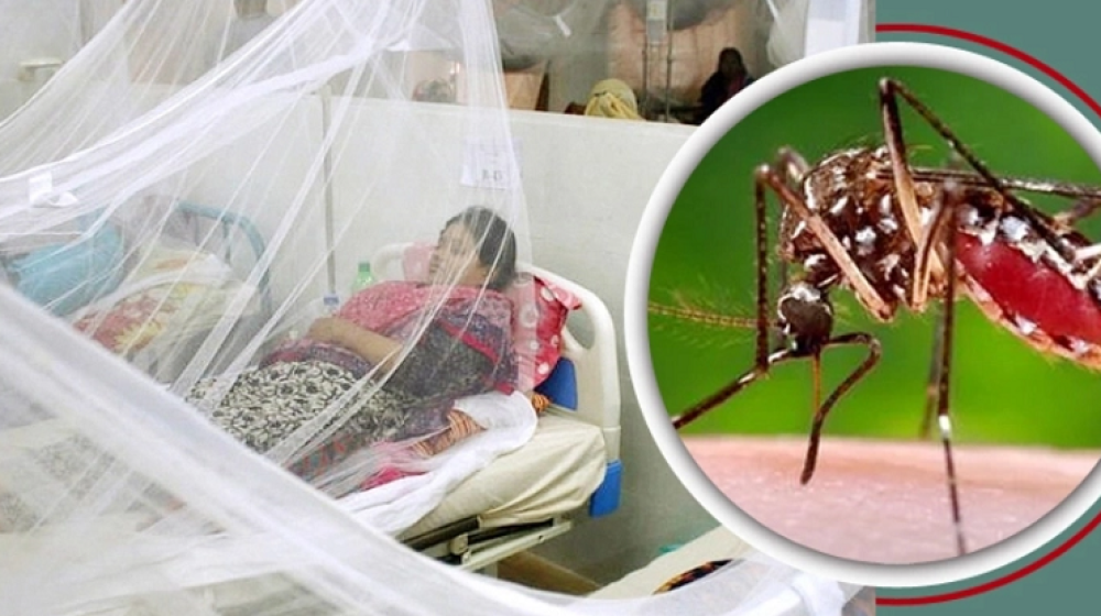 ডেঙ্গুর ভয়াবহ ছোবল: একদিনে ৩ জনের মৃত্যু, হাসপাতালে ভর্তি ৯৯৪