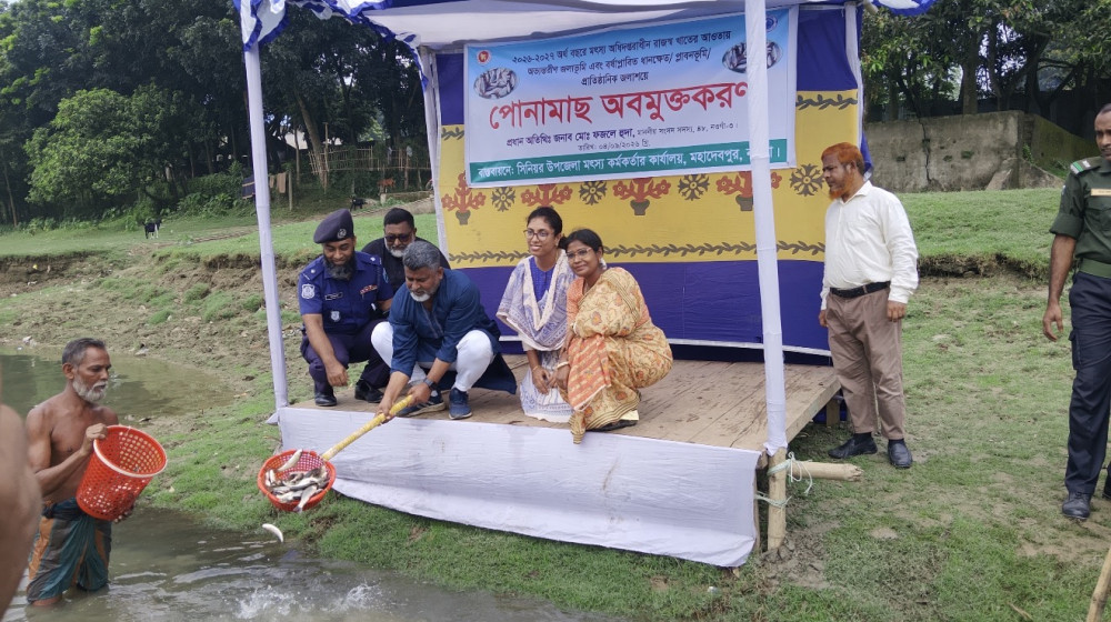 নওগাঁয় আত্রাই নদীতে মাছের পোনা অবমুক্ত