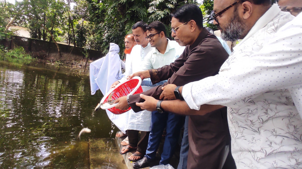 কোম্পানীগঞ্জে ১৭ জলাশয়ে ২৫০ কেজি মাছের পোনা অবমুক্ত