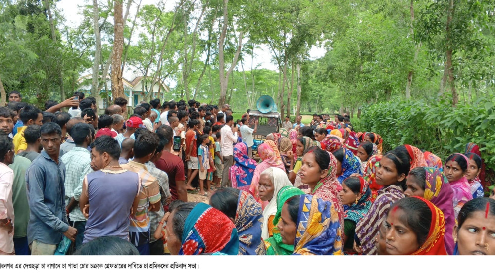 চা পাতা চুরিতে বাঁধা দেয়ায় হামলায় আহত পাহারাদার; চা বাগানের ক্ষুব্দ শ্রমিকদের প্রতিবাদ সভা