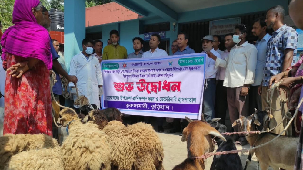 কুড়িগ্রামে পিপিআর রোগের বিনামূল্যে টিকাদান কর্মসূচির উদ্বোধন