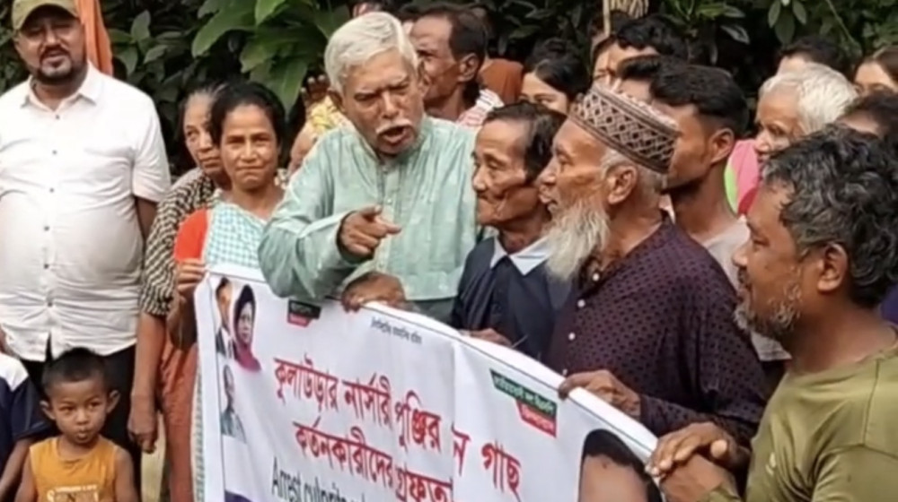 কুলাউড়ার নার্সারী পুন্জির পান গাছ কর্তনকারীদের ৪৮ ঘন্টার মধ্যে গ্রেফতার করুন--বিএনপি নেতা এড আবেদ রাজা