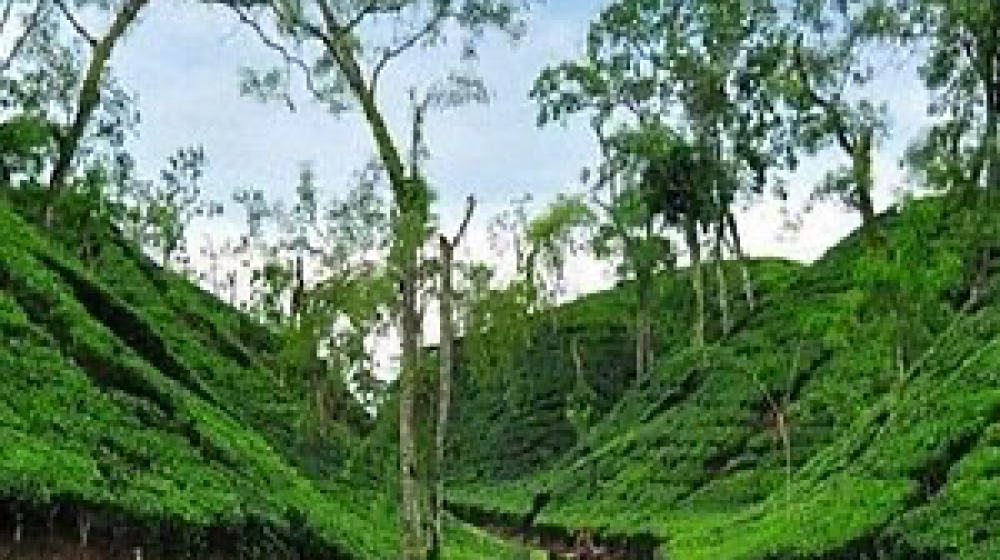 “ঝড় হতে পারে কিছু অঞ্চলে”