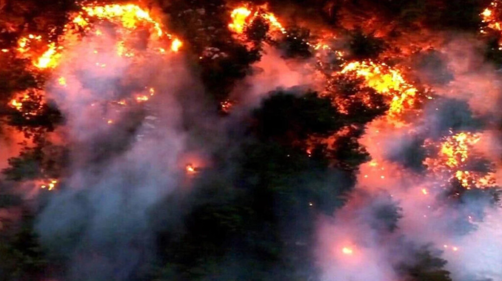 ভয়াবহ দাবানলে পুড়ছে ব্রাজিল ভয়াবহ দাবানলে পুড়ছে ব্রাজিল